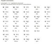 nepali language consonants polyglotclub.jpg from nepali abc