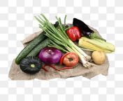 pngtree a pile of fresh vegetables png image 2858747.jpg from png fresh
