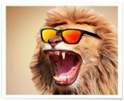 sunny lion jonas loose poster.jpg from sunney lion blatkar video