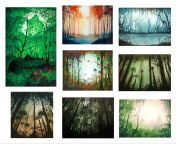 forest watercolors i did over the years doing these scenes v0 8xpg15q9k9mc1 pngautowebpsb19092658a059287202d1d854c9f5db09be2d8d7 from in the forest