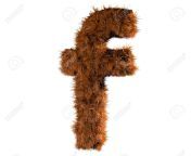 15328734 3d render of a hairy f.jpg from heiry f