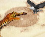 tiger and eagle levent sezgin.jpg from siberian mouse masha nude