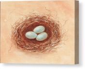 nest in umber pam talley canvas print.jpg from umber pam