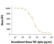 410 mt recombinant mouse tnf alpha aa 80 235 protein bioactivity 1612202094353.jpg from xxx cd ka ph