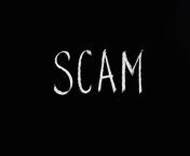 12230 from scam1 jpg
