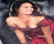 naked tamil bhabi.jpg from all bollywood actress sex sagar
