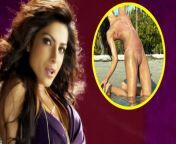 x720 from priyanka chopra sexy xxx mp4 video ridevi new heroine nude