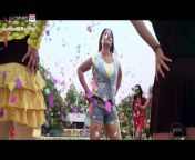 x1080 from www bhojpuri sexy video song comiti jha