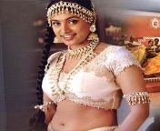roja2.jpg from tamil actress roja real hot sexindi hd desi sexy video down