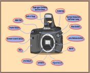 learn the parts of a camera 2.jpg from for the camera