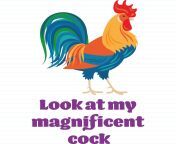 bb00084 magnificent cock parent dark text.jpg from pic cock