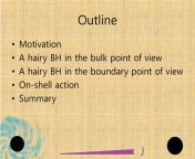 outline motivation a hairy bh in the bulk point of view.jpg from hairy bh