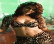 south indian actresses who indulge in scintillating navel show10.png from toliwood actress belly photose