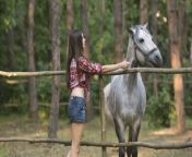 depositphotos 128731102 stock video woman and horse casual sexy.jpg from mare sexy video download com