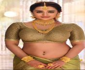 b0b1aa9024b34331905ee499ed9d8b8a jpeg from tamil aunty saree blouse boobs sex video