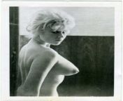 652510 1950s torpedos nude 296x1000.jpg from 1950s porn