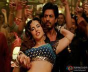 hottie sunny leone sizzles in laila main laila song with srk raees 1.jpg from sunny leone laila o laila song mix