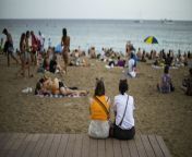 1200x675 cmsv2 3ea847dd 9b52 57ef 8523 f4d75e800ebb 6890826.jpg from barcelona beach walk tour at somorrostro beach