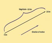 magnitude in physics.jpg from maginude