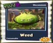 latestcb20170228042526 from plants vs zombies rose weed sex