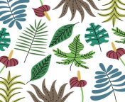 background of various tropical jungle plants exotic leaves pattern editable illustration vector.jpg from 6477703 jpg