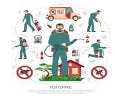 pest control services flat infographic poster vector.jpg from 482976 jpg