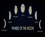 the phases of the moon vector.jpg from phases