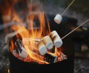 burning fire in a compact grill wood logs engulfed in red flames closeup of fry marshmallows on fire smoke rises concept of fun party cooking delicacy outdoors generate ai free photo.jpg from telugu closeup