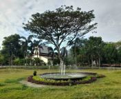 shady trees in a city park in the city of mataram lombok island indonesia photo.jpg from outdoor bangla park