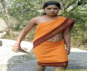 actressalbum com mallu actress without blouse sexy photo collections04.jpg from talugu anuty sex masala