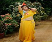 actressalbum com sana oberoi hot navel show in yellow saree spicy photos south actress 768x1094.jpg from telugu actress train
