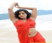 actressalbum com rashmi gautam hot navel show pics.jpg from etv rashmi sex photos xxx com karena kamala paul