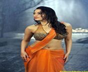 actressalbum com tamanna bhatia hot backless saree 1 681x1024.jpg from tamanna ki saree me nangi photo xxx threesomehollywood actor karishma xxx video download
