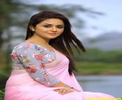 actressalbum com malayalam actress ragini nandwani photos in pink saree 1 768x1152.jpg from odia heroin malayalam only gals pg video