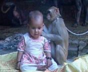القرد والطفلة 6.jpg from سكس حيوان القرد