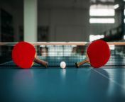 two tennis rackets and ball against net on table pp695rz 1024x684.jpg from pong jpg