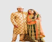 dulha dulhan dulha dulhan sari bollywood wedding tradition indian bride marriage.png from lal sari dulha
