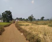 img1.jpg from indian odisha nuapada village