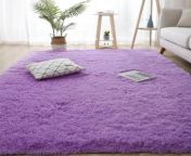 soft indoor rectangular carpet， modern luxury plush rugs jpgimwidth12960impolicymedium from soft soft touch