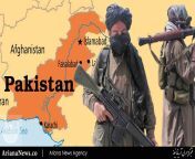 طالبان 2.jpg from افغان طالبان 2018