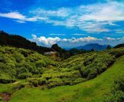 bangalore ooty tour packages with price itinerary cr s vignesh.jpg from ooty 10 c