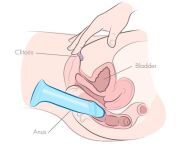 anal masturbation with dildo illustration.jpg from masturbate dildo
