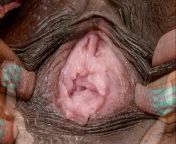 female textures morphing 1 hd 1080pvagina close up hairy sex pussyby rumesco.jpg from www sax pussy