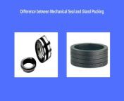 difference between mechanical seal and gland packing.jpg from seal pack an xxxasur or bahu