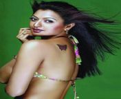 gayatri jayaram hot pic 7.jpg from actres gayatri jayaraman real nude sex village sex video