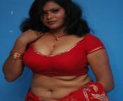 sheela hot stills 28029.jpg from south indian aunts saree removing sexy fucking videossl