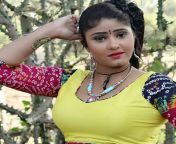 neha shree hot bhojpuri actress.jpg from bhojpuri neha shree nude xxx fake pic boobsলা