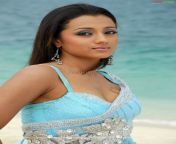 2qixv8z.jpg from tamil actress trisha fucked by menw