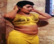 aunty actress fleshy navel show.jpg from mallu sajni navel