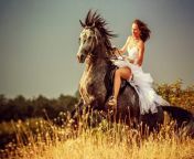 woman riding wild horse by 54ka 768x512.jpg from beautiful riding 7